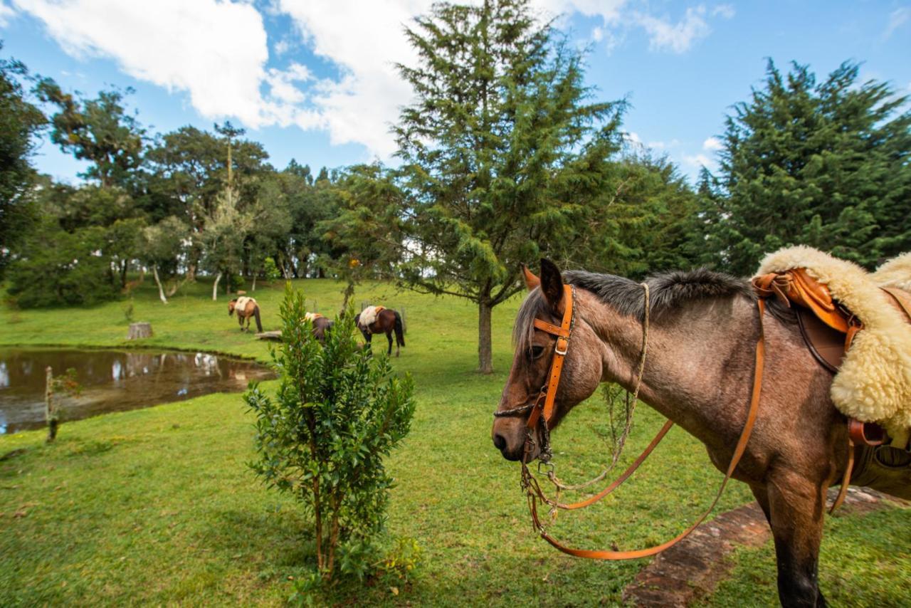 Aires De Patagonia Hotel Cambará Ngoại thất bức ảnh